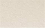 Carton muse 100 % coton