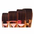 Brosse Leonard Acryl'Art, série 210 PL