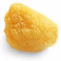 Eponge naturelle diamtre 5 cm