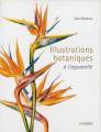 Illustrations botaniques  l'aquarelle