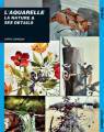 L'aquarelle-La nature et ses dtails