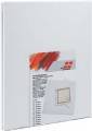 Lot de 2 chssis Honsell - format standard