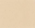 Toile brute en coton Jasper 600 g/m
