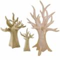 Arbre baobab en papier mâché
