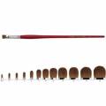 Brosse Leonard pointe plate usée-bombée, série 2160