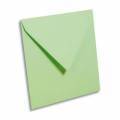 Enveloppes Pollen 165 x 165 mm Vert