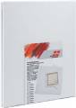 Lot de 2 châssis Honsell - format standard