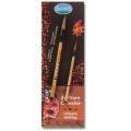 Lot de 2 pinceaux chinois