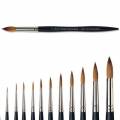 pinceau martre Winsor et Newton
