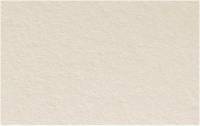Carton muse 100 % coton