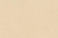Toile brute en coton Georges 320 g/m
