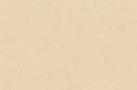 Toile brute en coton Georges 320 g/m²