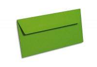 Enveloppes Pollen 110 x 220 mm Vert Menthe