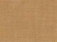 Toile brute en lin Joan 370 g/m2
