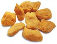 Lot de 10 petites éponges naturelles