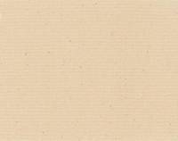 Toile brute en coton Jasper 600 g/m�