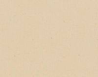 Toile brute en coton Salvador 420 g/m