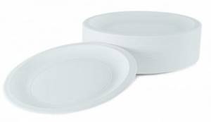 Lot de 100 assiettes palettes en plastique