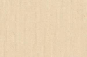 Toile brute en coton Georges 320 g/m²