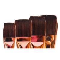 Brosse Leonard Acryl'Art, srie 210 PL