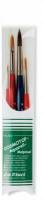 Set de 4 pinceaux pour aquarelle Cosmotop