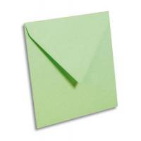 Enveloppes Pollen 165 x 165 mm Vert