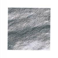 Feuilles d'or blanc 12 carats