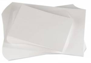 Papier lavis technique Canson