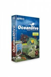 Ocean Dive + Pirate ship