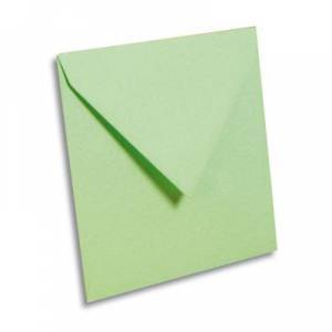Enveloppes Pollen 165 x 165 mm Vert