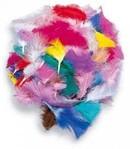 Mélange de plumes décoratives