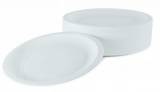 Lot de 100 assiettes palettes en plastique