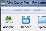 Disk Savvy Pro