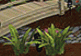 Landscaping Photos