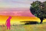 Love is all Around