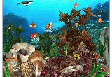 Mermaids Kingdom Screensaver
