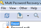 Multi Password Recovery