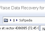 Raise Data Recovery for ReiserFS
