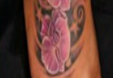 Tattoo Designs Screen Saver