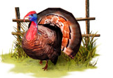 Thanksgiving 3D Screensaver