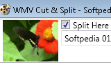 WMV Cut & Split