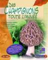 Logiciel champignons : Des champignons toute l'année