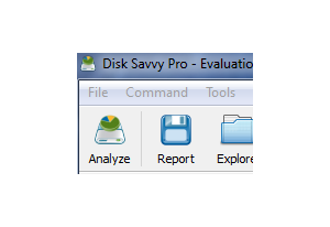 Disk Savvy Pro