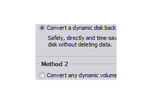 Dynamic Disk Converter Professional