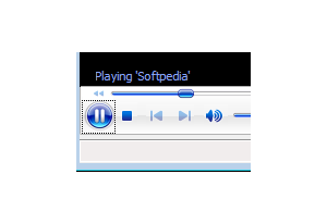 Flash Player