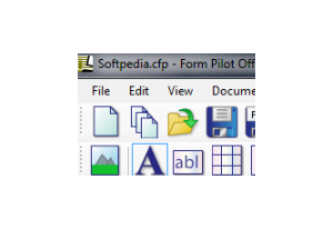 Form Pilot Office