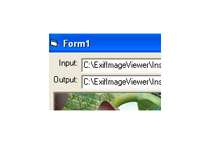 GOGO Exif Image Viewer ActiveX Control