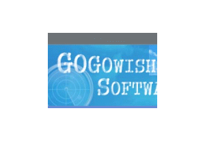 GOGO Media Player ActiveX Control