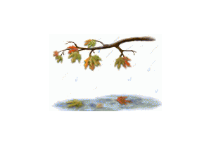 Golden Autumn 3D Screensaver