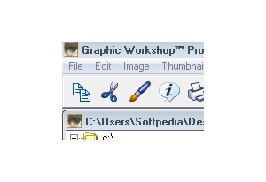 Graphic Workshop Professional